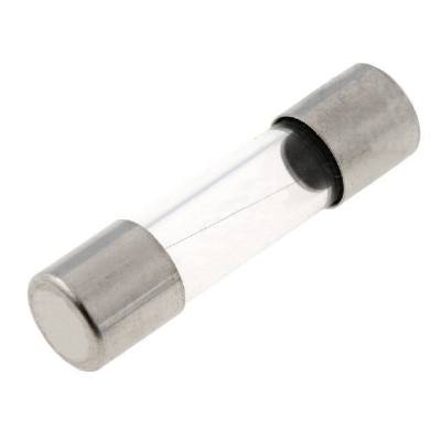 SCHURTER FST 5x20 100mA 250V tubular fuse